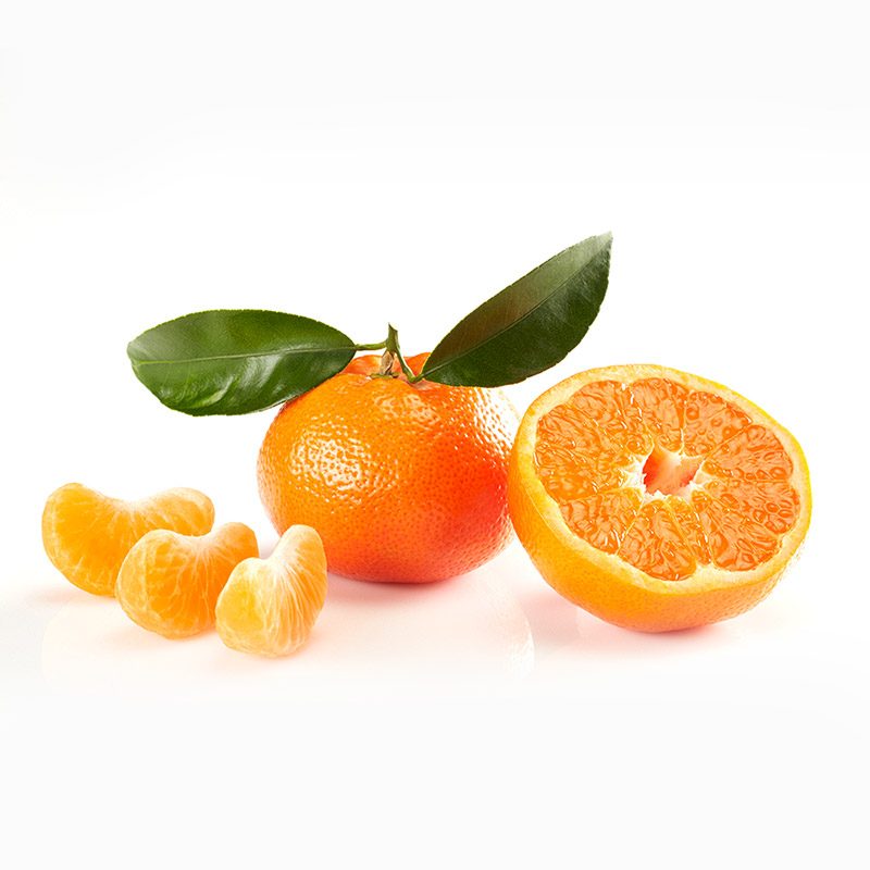 柑橘citricos – EXSER